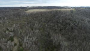 N23415 Oak Ridge Drive, Arcadia, WI 54612