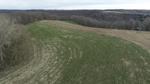 N23415 Oak Ridge Drive, Arcadia, WI 54612