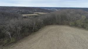 N23415 Oak Ridge Drive, Arcadia, WI 54612