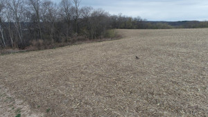 N23415 Oak Ridge Drive, Arcadia, WI 54612