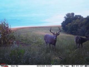 N23415 Oak Ridge Drive, Arcadia, WI 54612