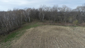 N23415 Oak Ridge Drive, Arcadia, WI 54612