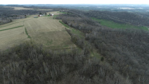 N23415 Oak Ridge Drive, Arcadia, WI 54612