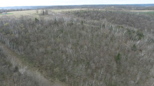N23415 Oak Ridge Drive, Arcadia, WI 54612