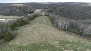 N23415 Oak Ridge Drive, Arcadia, WI 54612