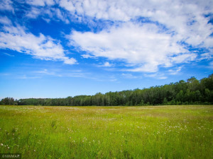 Photo for TBD Lamon Road NE, Bemidji, MN 56601 - Listing #6227971 TBD Lamon Road NE, Bemidji, MN 56601