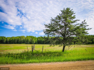 Photo for TBD Lamon Road NE, Bemidji, MN 56601 - Listing #6227971 TBD Lamon Road NE, Bemidji, MN 56601