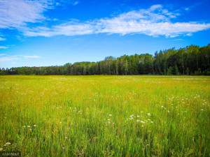Photo for TBD Lamon Road NE, Bemidji, MN 56601 - Listing #6227971 TBD Lamon Road NE, Bemidji, MN 56601