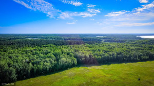 Photo for TBD Lamon Road NE, Bemidji, MN 56601 - Listing #6227971 TBD Lamon Road NE, Bemidji, MN 56601