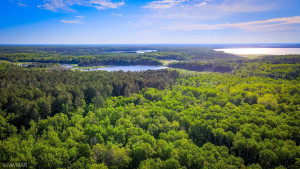 Photo for TBD Lamon Road NE, Bemidji, MN 56601 - Listing #6227971 TBD Lamon Road NE, Bemidji, MN 56601