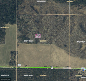 Photo for TBD Lamon Road NE, Bemidji, MN 56601 - Listing #6227971 TBD Lamon Road NE, Bemidji, MN 56601