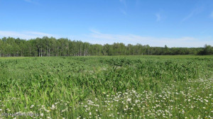 Photo for 3007 59th Street SE, Baudette, MN 56623 - Listing #6234136 3007 59th Street SE, Baudette, MN 56623