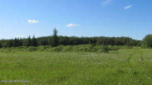 Photo for 3007 59th Street SE, Baudette, MN 56623 - Listing #6234136 3007 59th Street SE, Baudette, MN 56623