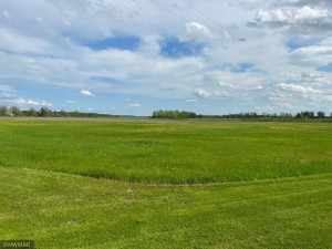 Photo for 29771 County Road 2, Badger, MN 56714 - Listing #6205267 13EC4588-0743-4605-B7B3-F6BC20F39C46.jpeg
