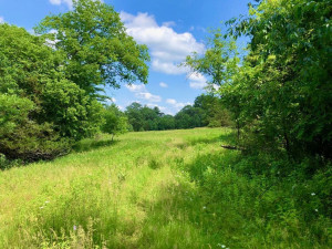 43804 Tuff Lane, Rushford, MN 55971