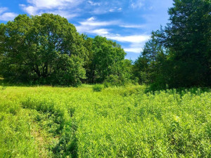 43804 Tuff Lane, Rushford, MN 55971