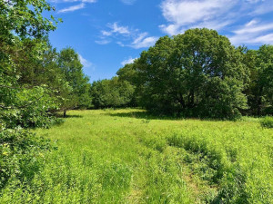 43804 Tuff Lane, Rushford, MN 55971