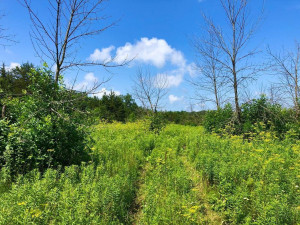 43804 Tuff Lane, Rushford, MN 55971