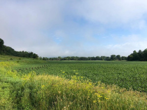43804 Tuff Lane, Rushford, MN 55971