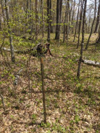 This stake is located right near the SW corner of the lot when using OnX Hunt app