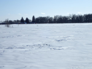 8182 75th Street, Princeton, MN 55371