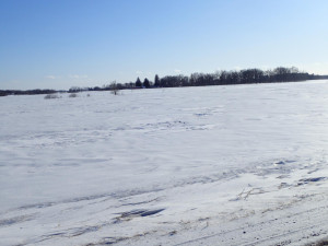 8182 75th Street, Princeton, MN 55371