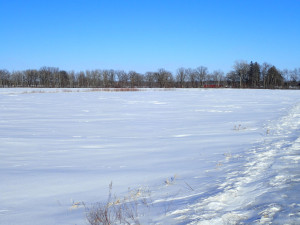 8182 75th Street, Princeton, MN 55371