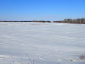 8182 75th Street, Princeton, MN 55371
