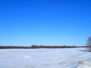 8182 75th Street, Princeton, MN 55371