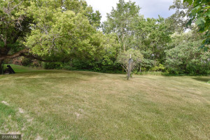Photo for 17790 150th Avenue SW, Red Lake Falls, MN 56750 - Listing #6188537 3853BFCC-3DDD-4B5E-95E7-AB90F3B688E1_1_201_a
