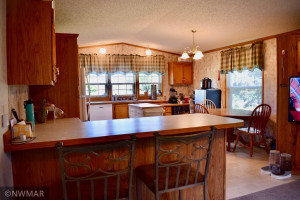 Photo for 103 Lindstrom Avenue N, Goodridge, MN 56725 - Listing #6230656 103 Lindstrom Avenue N, Goodridge, MN 56725