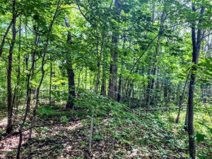 TBD Dogwood Drive, Garrison, MN 56450