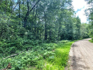 TBD Dogwood Drive, Garrison, MN 56450