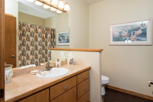 17012 S Big Cormorant Road Road, Audubon, MN 56511