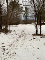 17809 Ridgewood Road, Minnetonka, MN 55345