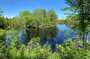 Photo for 3670 County Road 97, International Falls, MN 56649 - Listing #6236178 3670 County Road 97, International Falls, MN 56649