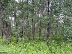 Photo for TBD Otter Drive, Laporte, MN 56461 - Listing #6227714 TBD Otter Drive, Laporte, MN 56461