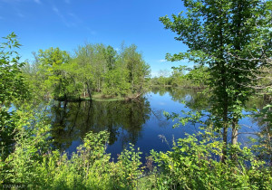 Photo for 3670 County Road 97, International Falls, MN 56649 - Listing #6236178 3670 County Road 97, International Falls, MN 56649