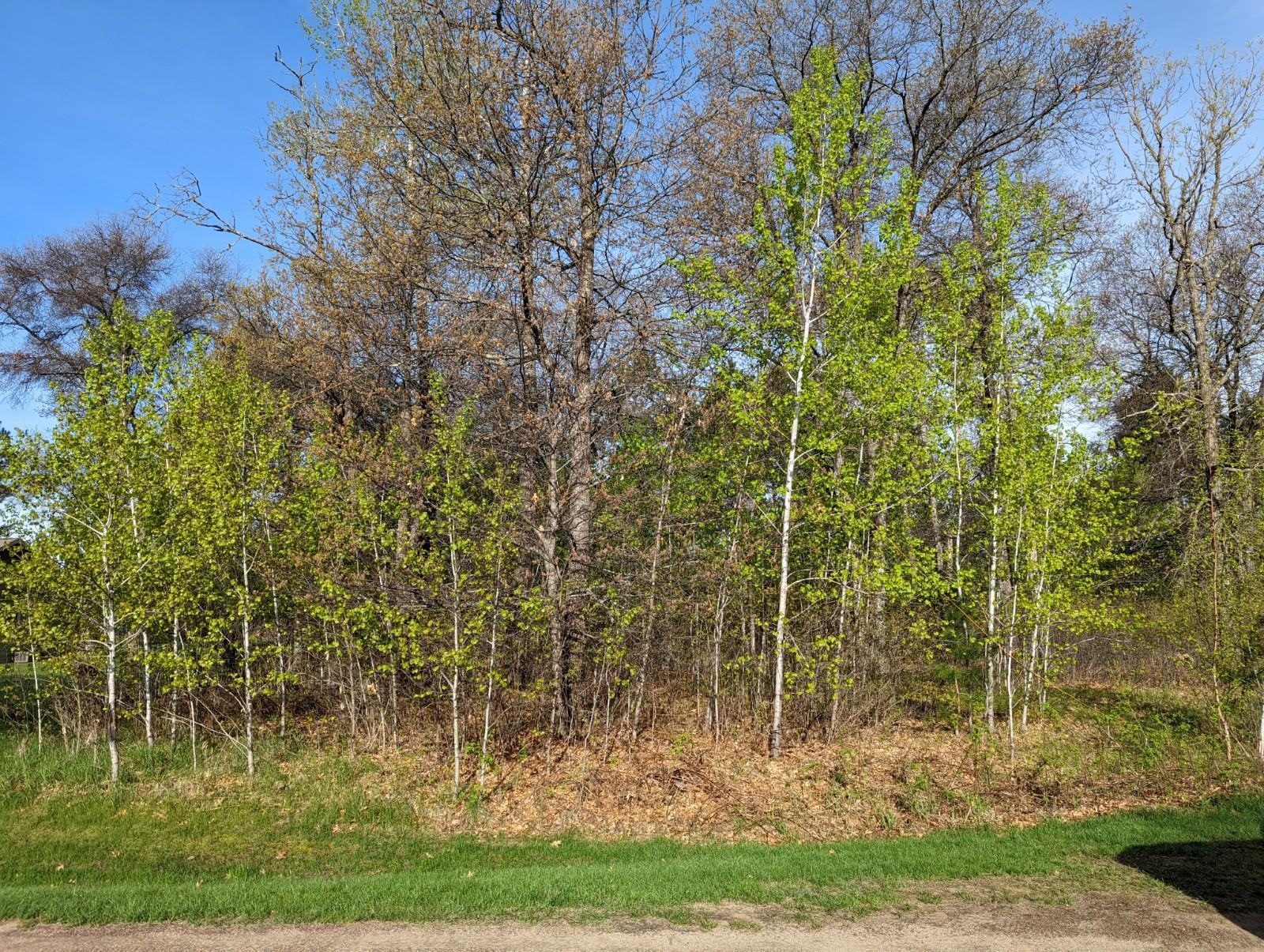 Photo for L2,B1 Josh Court, Pequot Lakes, MN 56472 - Listing #6197988 Photo 1