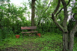 Photo for 31541 380th Street NE, Gatzke, MN 56724 - Listing #6237483 31541 380th Street NE, Gatzke, MN 56724