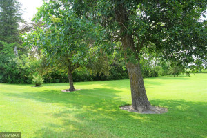 Photo for 31541 380th Street NE, Gatzke, MN 56724 - Listing #6237483 31541 380th Street NE, Gatzke, MN 56724