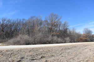 Photo for XXXXX 231st Avenue, Preston, MN 55965 - Listing #6163892 XXXXX 231st Avenue, Preston, MN 55965