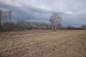 Photo for TBD 370th, Gatzke, MN 56724 - Listing #6187028 TBD 370th, Gatzke, MN 56724