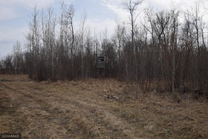 Photo for TBD 370th, Gatzke, MN 56724 - Listing #6187028 TBD 370th, Gatzke, MN 56724
