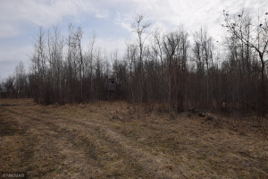 Photo for TBD 370th, Gatzke, MN 56724 - Listing #6187028 TBD 370th, Gatzke, MN 56724
