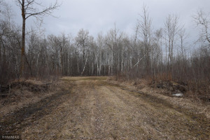 Photo for TBD 370th, Gatzke, MN 56724 - Listing #6187028 TBD 370th, Gatzke, MN 56724