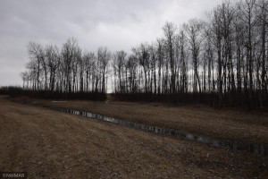 Photo for TBD 370th, Gatzke, MN 56724 - Listing #6187028 TBD 370th, Gatzke, MN 56724