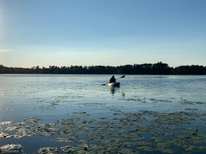 Photo for TBD LOT 26 Peninsula Court NE, Bemidji, MN 56601 - Listing #6027875 TBD LOT 26 Peninsula Court NE, Bemidji, MN 56601