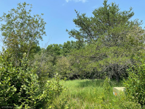 Photo for TBD LOT 26 Peninsula Court NE, Bemidji, MN 56601 - Listing #6027875 TBD LOT 26 Peninsula Court NE, Bemidji, MN 56601