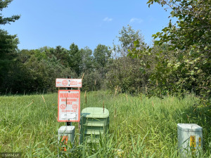 Photo for TBD Lot 27 Peninsula Court NE, Bemidji, MN 56601 - Listing #6027901 TBD Lot 27 Peninsula Court NE, Bemidji, MN 56601